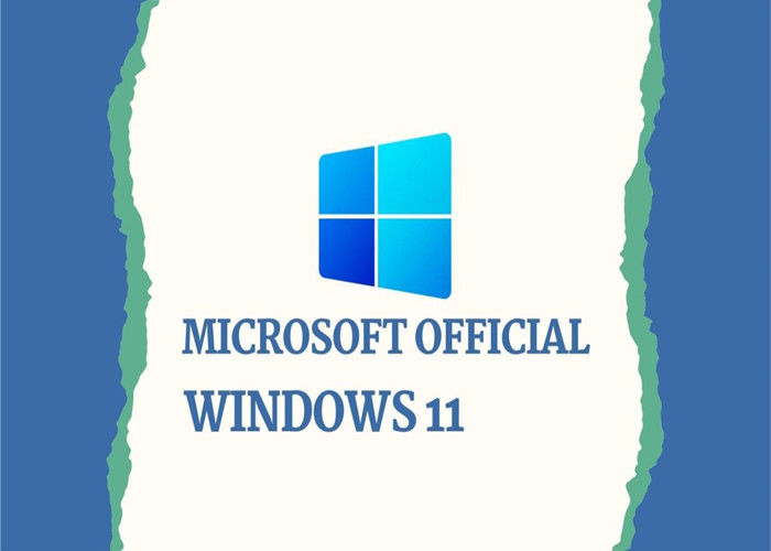 Γαλλική εκδοχή TPM Microsoft Windows 11 εγχώριο λιανικό πλήρες κιβώτιο WIP UEFI